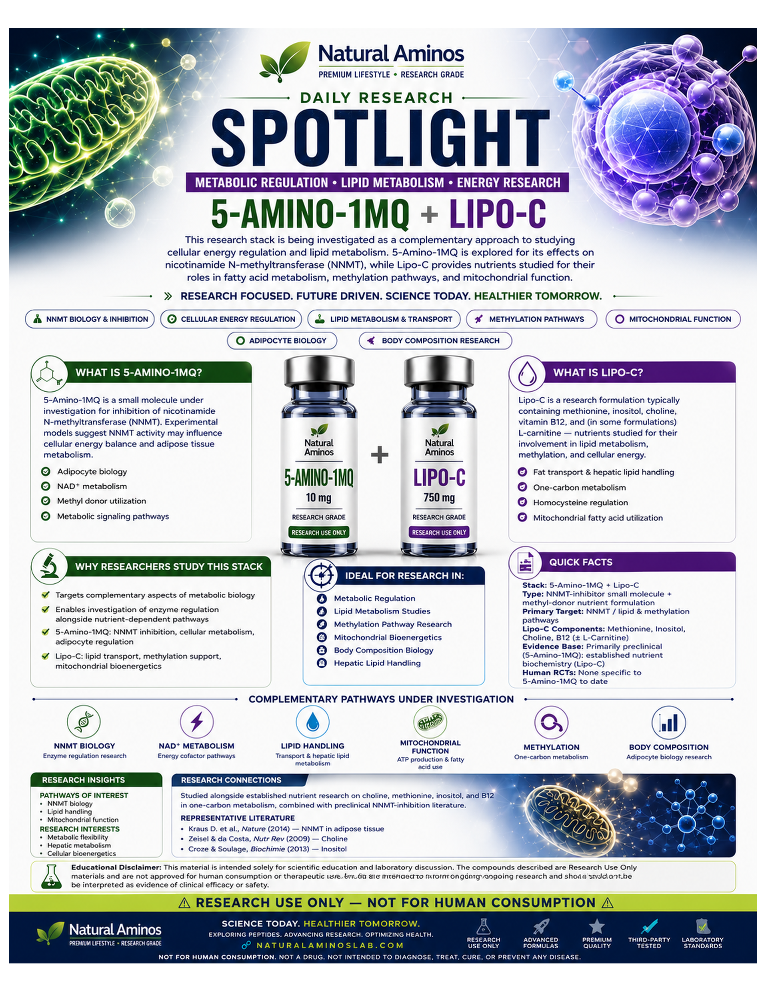 5-Amino-1MQ + Lipo-C research graphic